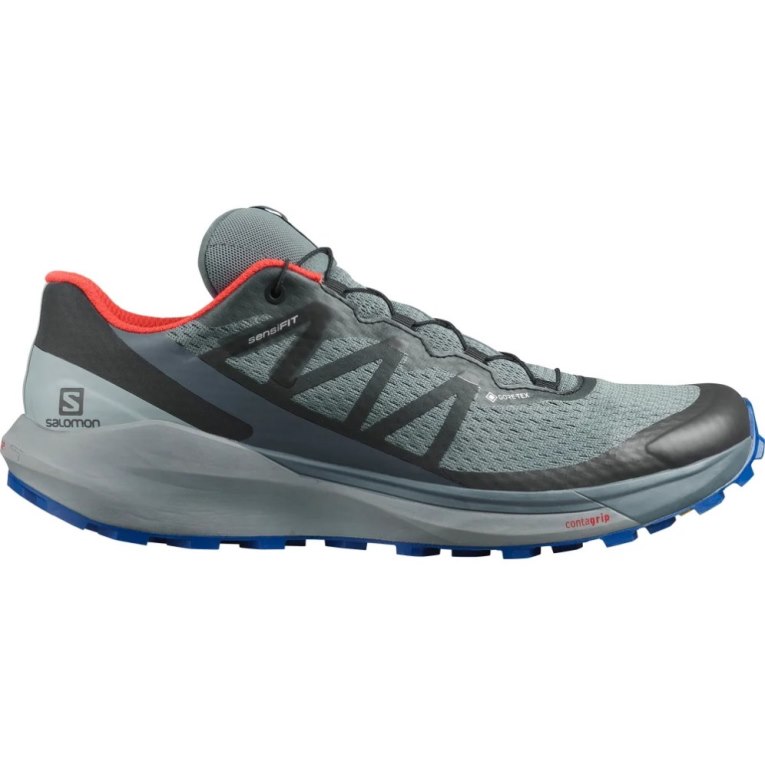 Sapatilhas Trail Running Salomon Sense Ride 4 GTX Invisible Fit Masculino Cinzentas | PT J01329